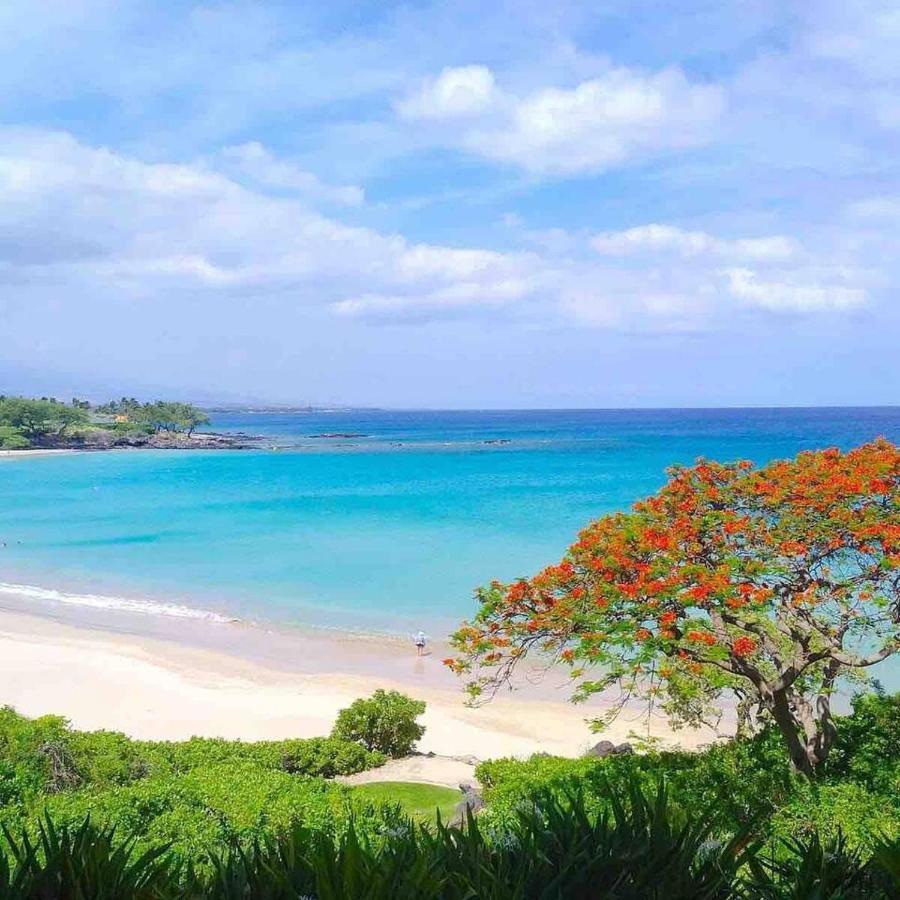 Family Friendly Kailua Bay View Ac Free Parking Walk To Kailua Village Eksteriør bilde